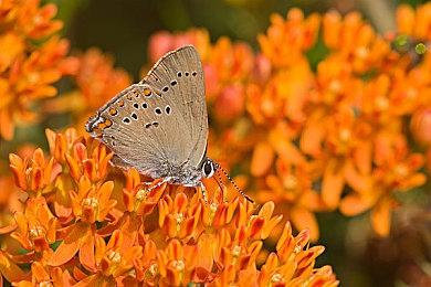 《露娜 复刻合集》宣布4月18日发售 不支持中文