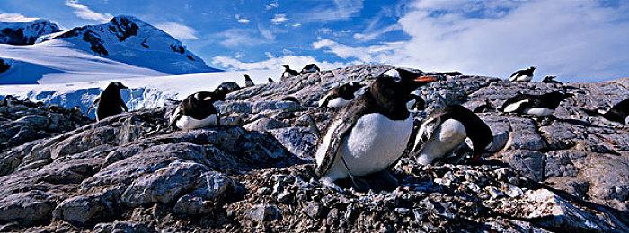 排位赛来了！ 《黑夜君临》全新高难“深夜”模式9月11日上线